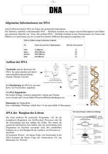 1 DNA Isolation aus einer Tomate